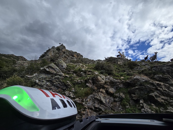 Assistance taxi à Tolla avec chauffeur express pour déplacements urgents en Corse du Sud