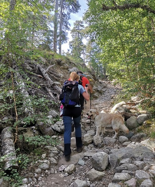 Randonneurs sur le GR20 – Transfert avec Taxi Tolla depuis Tolla et la vallée du Prunelli